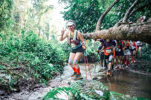 BIB: 
                            <button type="button" onclick="openModal(25467797)" class="btn btn-primary btn-sm float-right btn-popup" data-toggle="modal" data-target=".modal-high-quality">
                        <i class="fas fa-shopping-cart"></i> Add to Cart
                    </button>
                                            <button type="button" onclick="isThisMe(25467797, true)" class="btn btn-success btn-sm float-right btn-popup btn-isme hidden" data-toggle="tooltip" data-placement="bottom" title="นี่คือรูปของคุณใช่ไหม คลิกที่นี่เพื่อเอาเข้าอัลบั้ม">
                        <i class="fas fa-plus"></i> Add to album
                    </button>
                    <button type="button" onclick="isThisMe(25467797, false)" class="btn btn-warning btn-sm float-right btn-popup btn-isnotme hidden">
                        <i class="fas fa-ban"></i> Remove from album
                    </button>